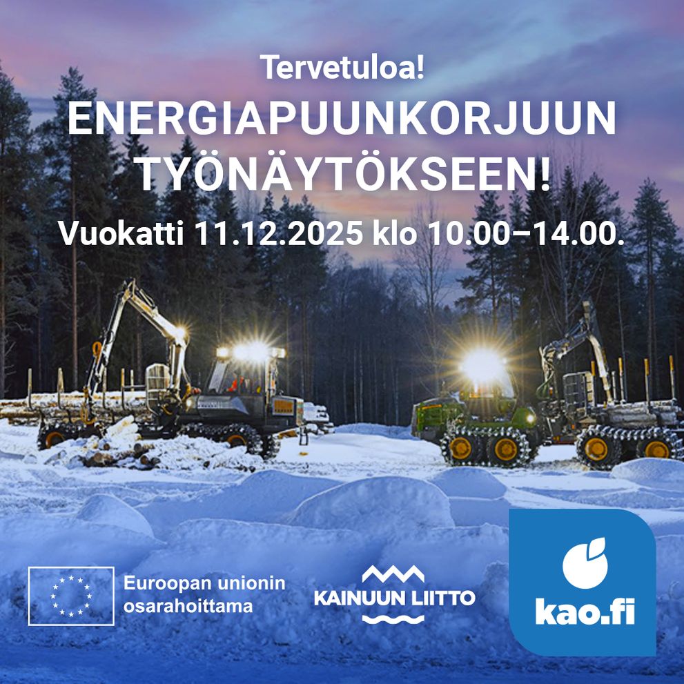 Energiapuun korjuun työnäytös Vuokatissa 11.12.2025