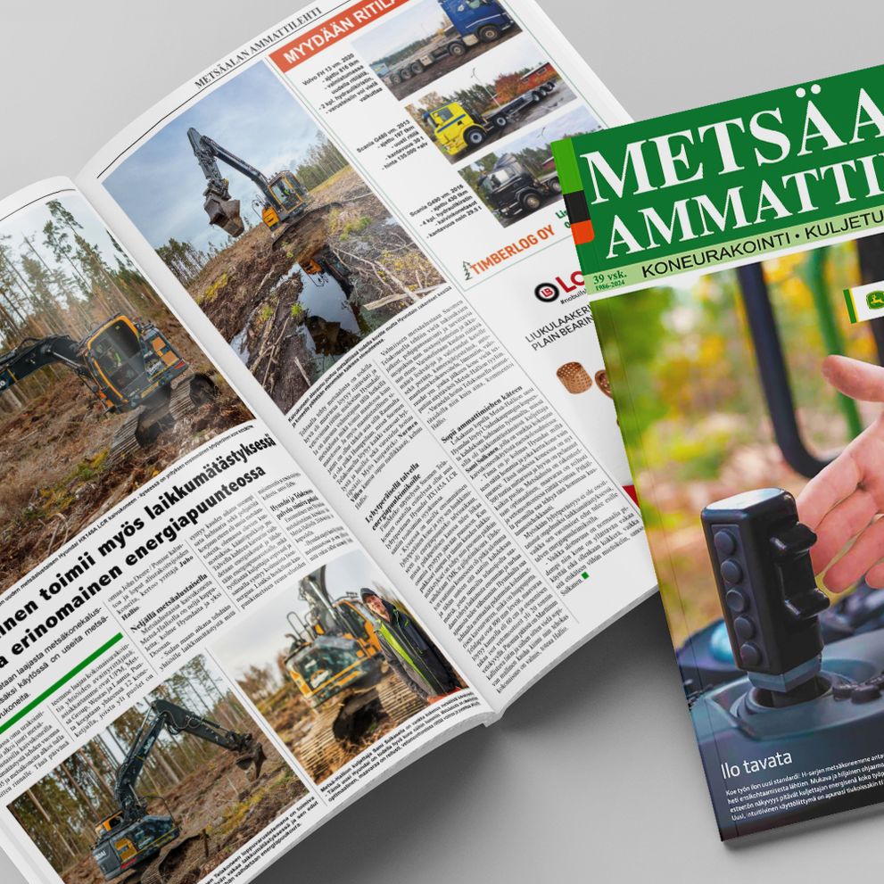 Lyhytperäinen toimii myös laikkumätästyksessä - talvella erinomainen energiapuunteossa