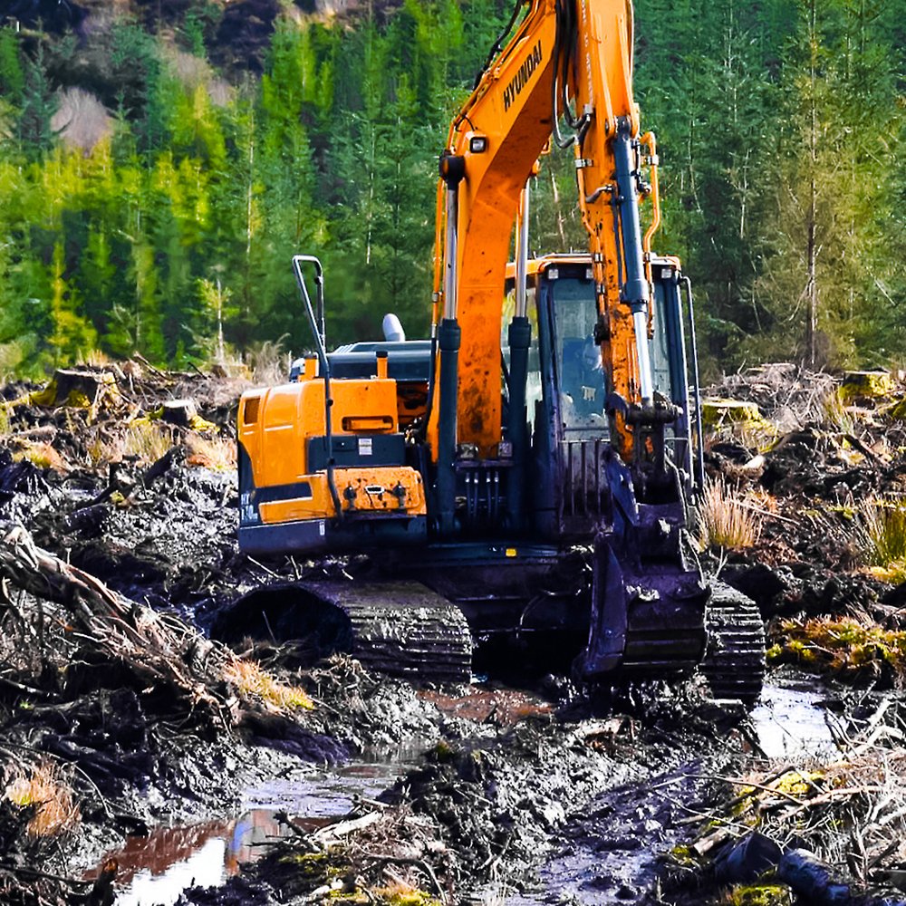 Hyundain metsämallinen kaivinkone etenee syvässä suomaastossa.