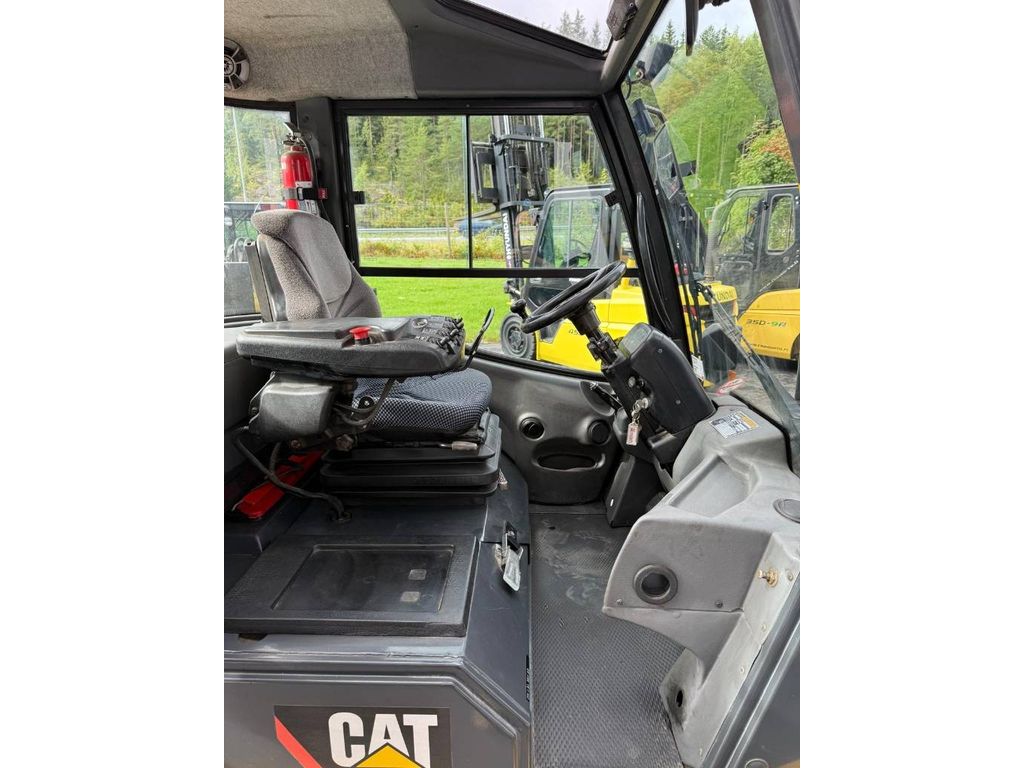 cat-dp50k2,90310833.jpg